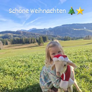 Wir wünschen euch allen wunderschöne Weihnachten 🎄⭐

#urlaubaufdembauernhof #weihnachten #lamm #ferienwohnung #allgäu